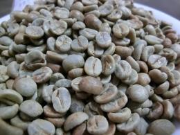 ブラジル サンアントニオ エステートハニー 6年熟成　500